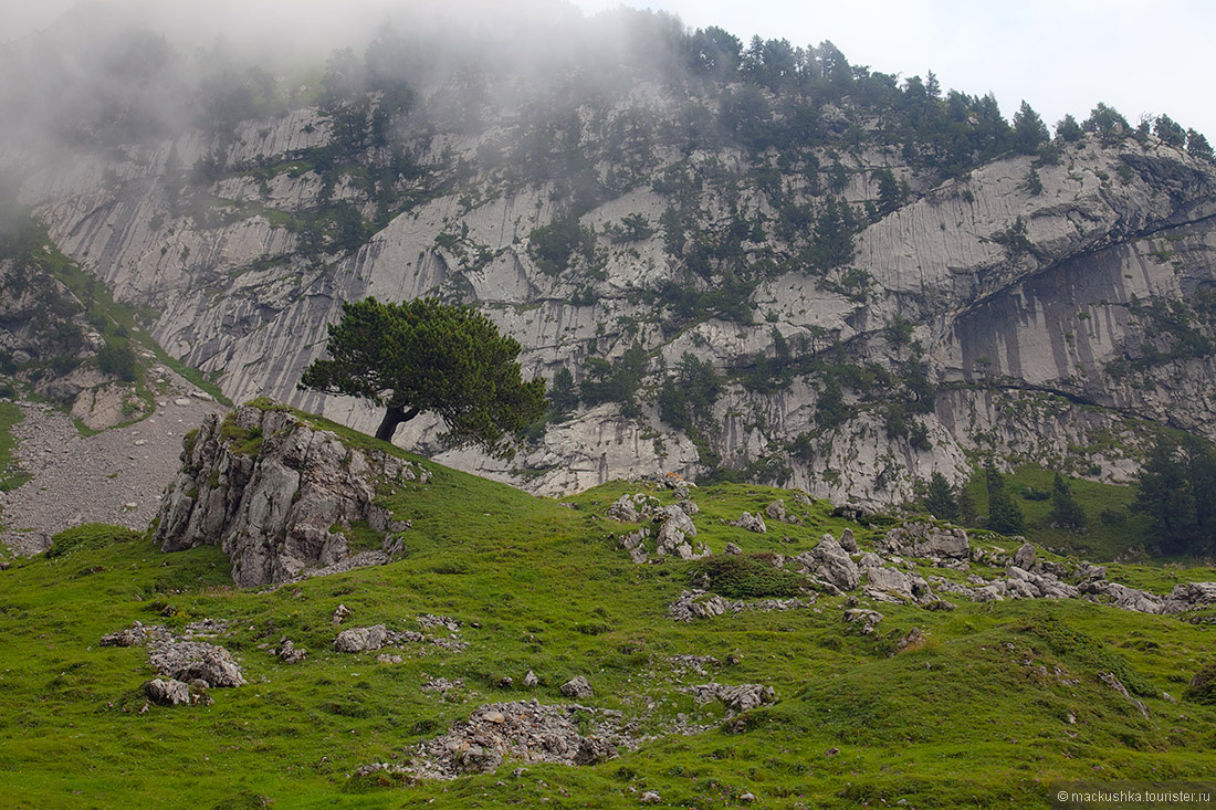 Pilatus
